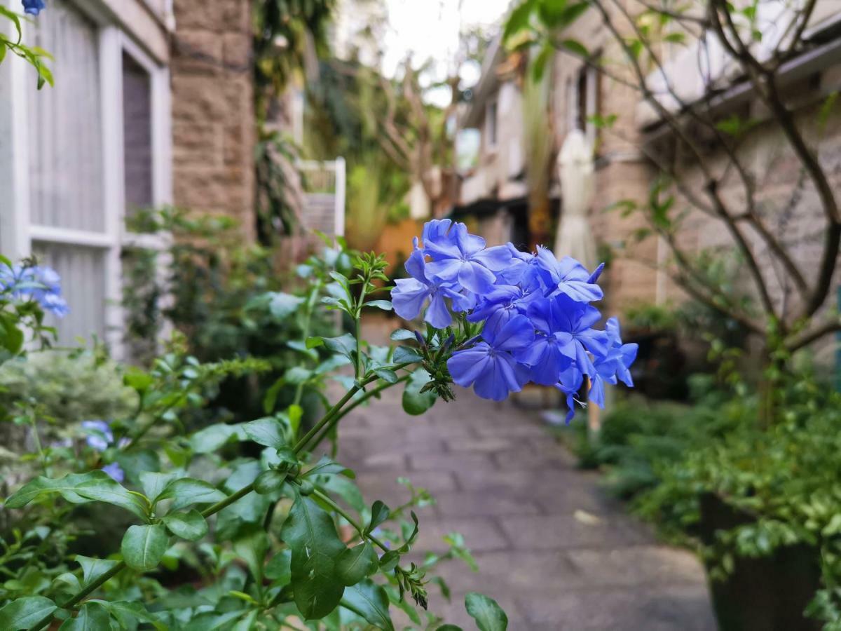 Shenzhen No'6 Garden Villa --French Window With Garden View,Close To Sea World &Shekou Ferry Port &K11 Ecoast &Subway Nearby ,Offer Western Food And Coffee &English Speaking With Tour Services Exterior photo